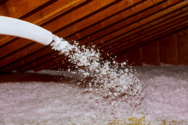 Best Residential Insulation Services  in Ken Caryl, CO